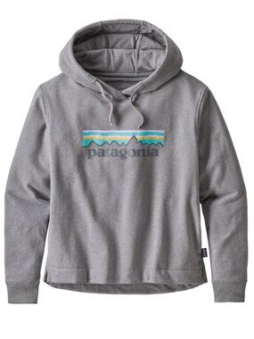 Patagonia Women's Gray Pullover Hoodie with Multicolor Mountain Logo